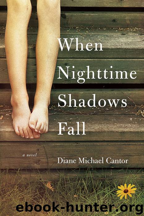 When Nighttime Shadows Fall by Diane Michael Cantor