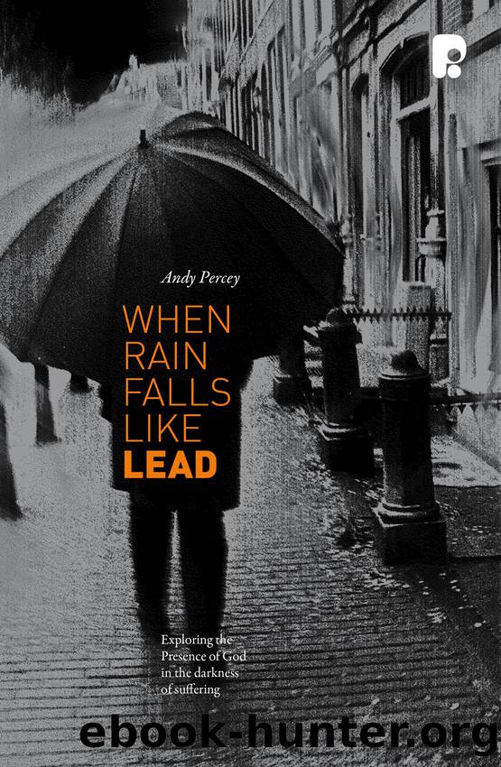 When Rain Falls Like Lead by Percey Andrew;