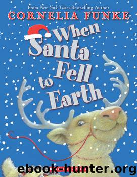 When Santa Fell To Earth by Cornelia Funke
