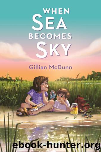When Sea Becomes Sky by Gillian McDunn