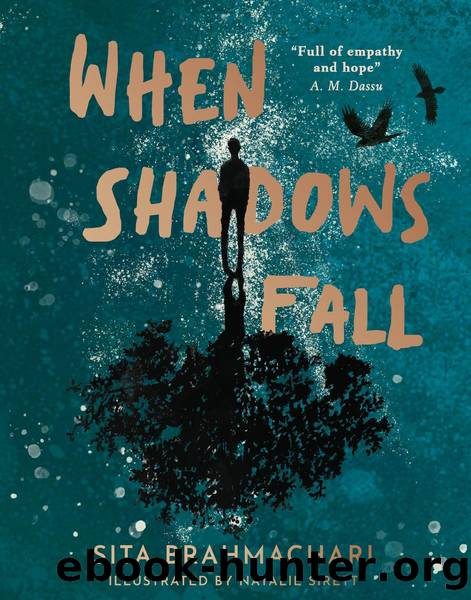 When Shadows Fall by Sita Brahmachari