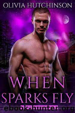 When Sparks Fly (Netherworld Series Book 3) by Olivia Hutchinson