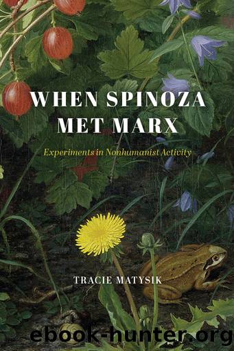 When Spinoza Met Marx by Tracie Matysik