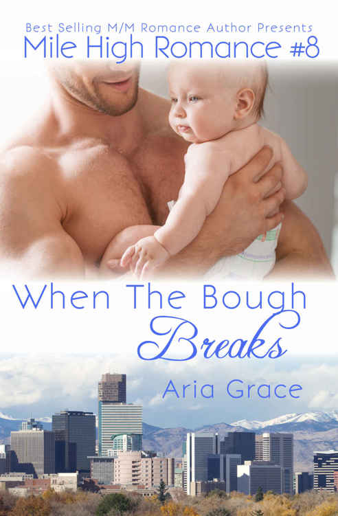 When The Bough Breaks (M/M Romance) (Mile High Romance Book 8) by Aria Grace
