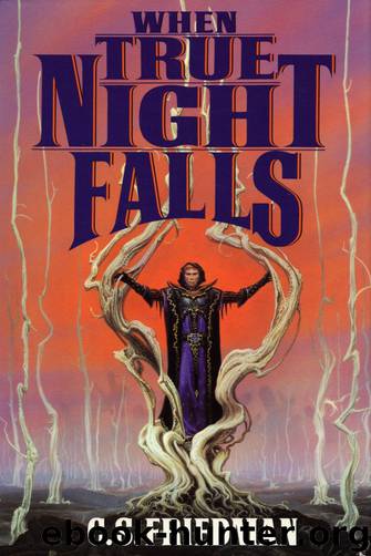 When True Night Falls by C.S. Friedman