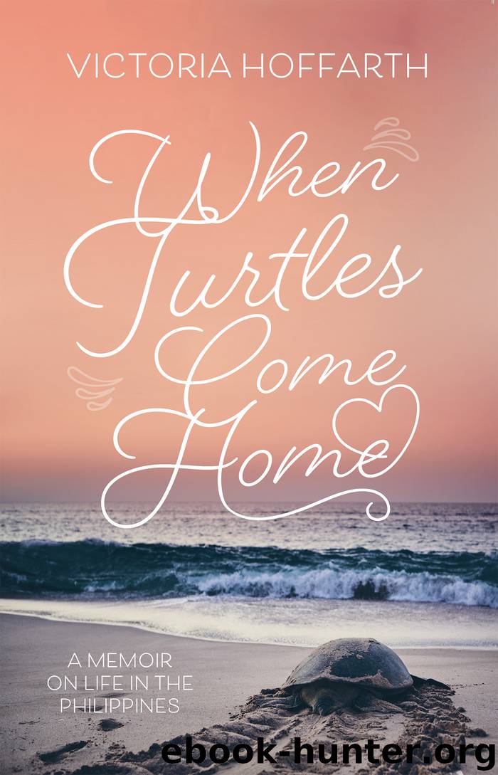 When Turtles Come Home by Victoria Hoffarth