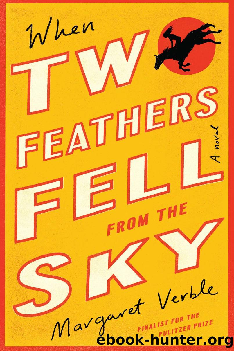 When Two Feathers Fell from the Sky by Margaret Verble
