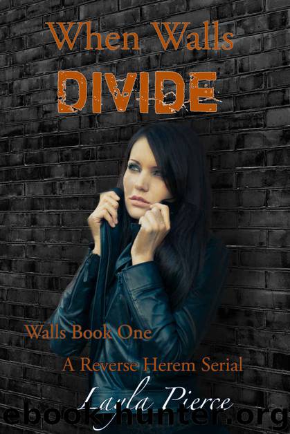 When Walls Divide: A Reverse Harem Novella by Layla Pierce