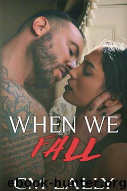 When We Fall by C M Lally