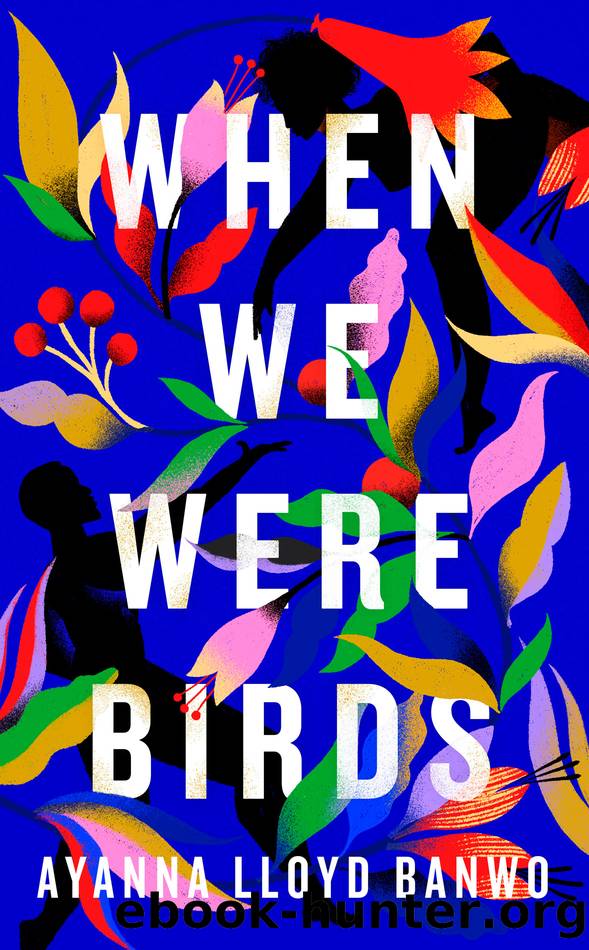 When We Were Birds by Ayanna Lloyd Banwo