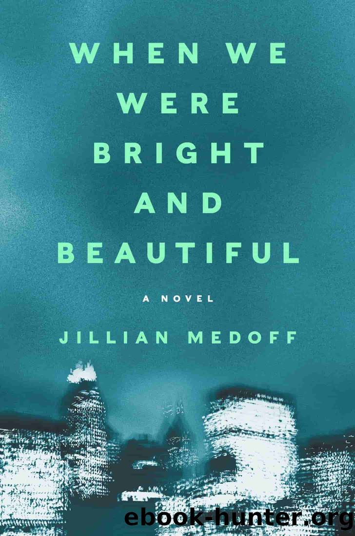 When We Were Bright and Beautiful by Jillian Medoff