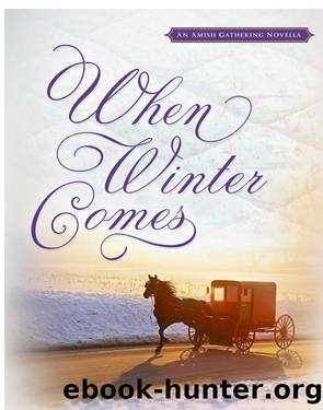 When Winter Comes by Barbara Cameron