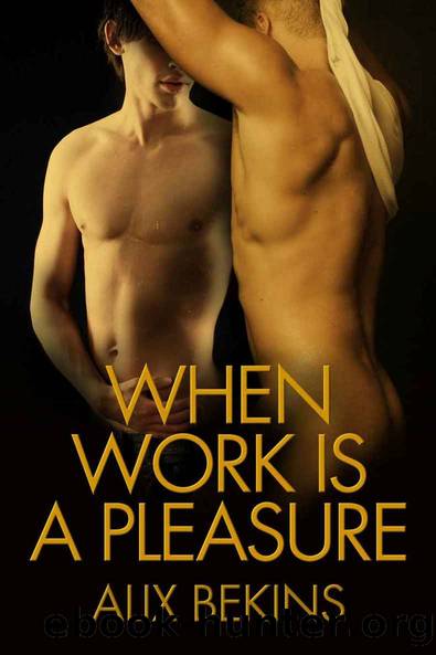 When Work Is a Pleasure - Alix Bekins by Alix Bekins