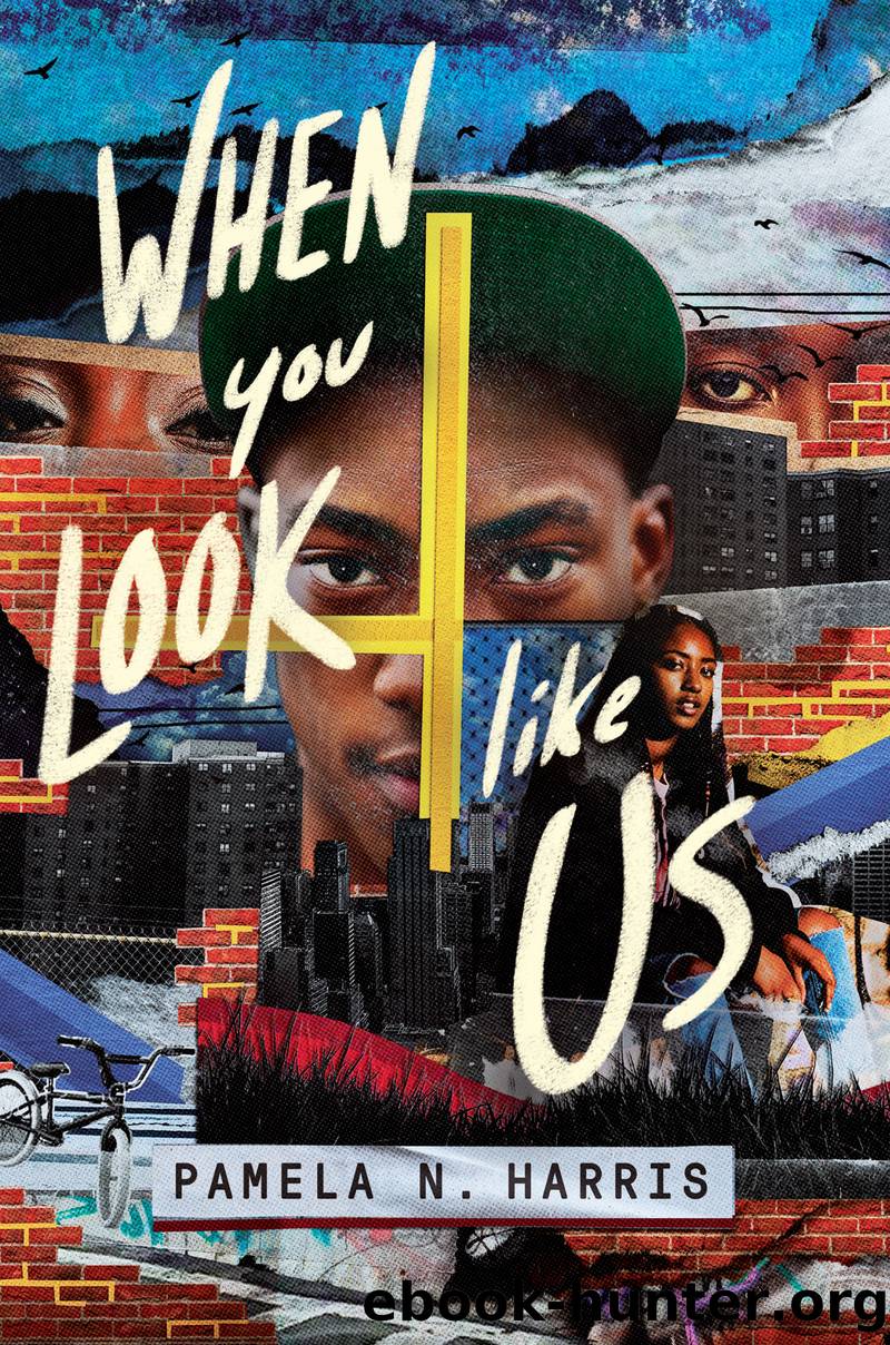When You Look Like Us by Pamela N. Harris