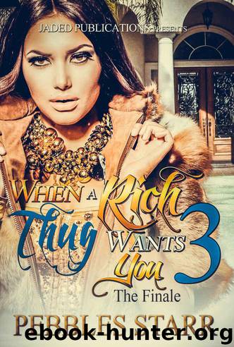 When a Rich Thug Wants You 3: The Finale by Pebbles Starr & Micah Shipp