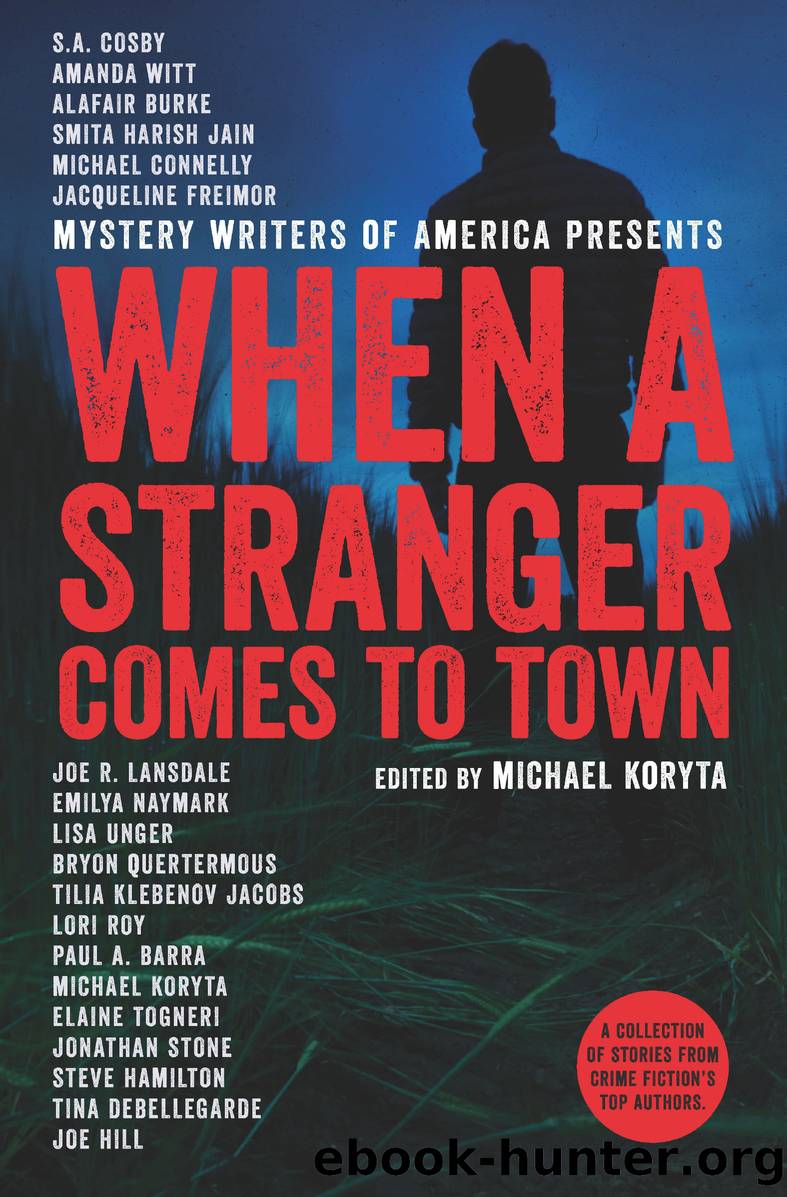 When a Stranger Comes to Town by Michael Koryta
