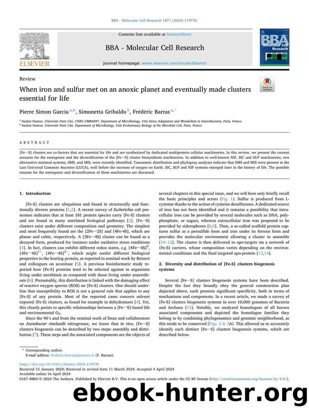 When iron and sulfur met on an anoxic planet and eventually made clusters essential for life by Pierre Simon Garcia & Simonetta Gribaldo & Frédéric Barras