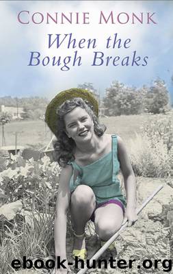 When the Bough Breaks by Connie Monk
