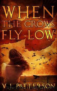 When the Crows Fly Low by V.J. Patterson