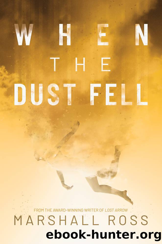 When the Dust Fell by Marshall Ross