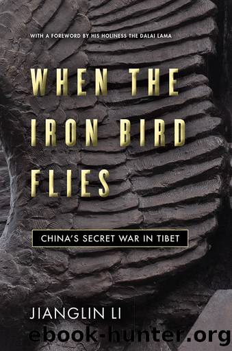 When the Iron Bird Flies by Jianglin Li
