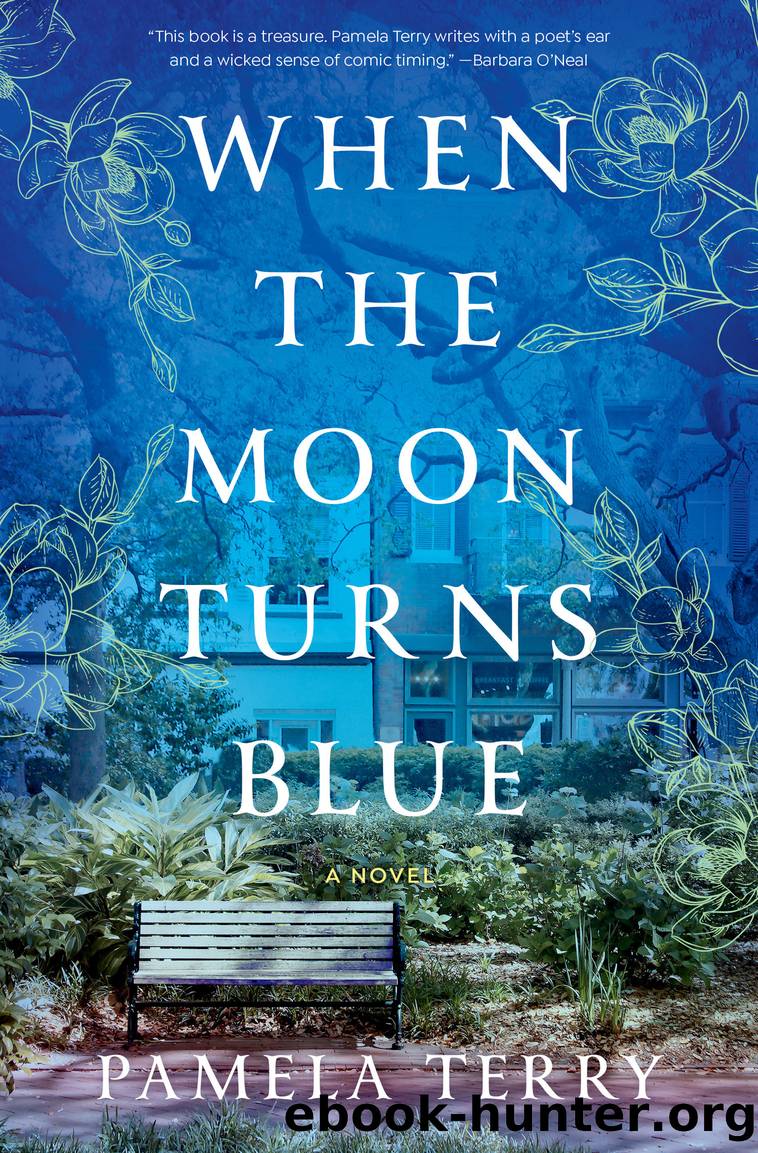 When the Moon Turns Blue by Pamela Terry