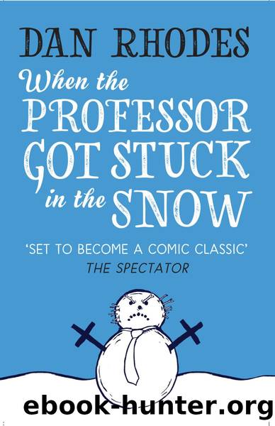 When the Professor Got Stuck in the Snow by Dan Rhodes