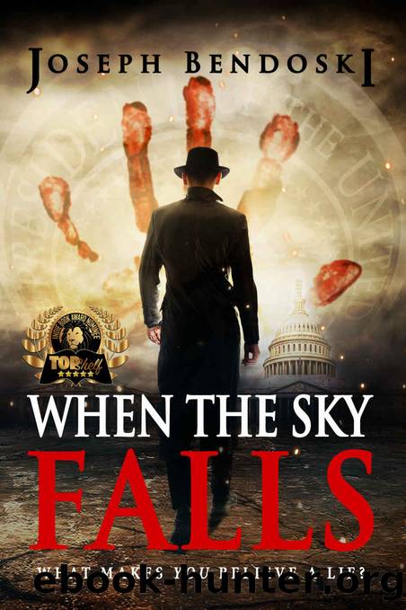 When the Sky Falls by Joseph Bendoski
