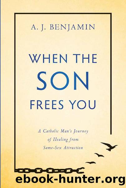 When the Son Frees You: A Catholic Man's Journey of Healing From Same-Sex Attraction by A. J. Benjamin