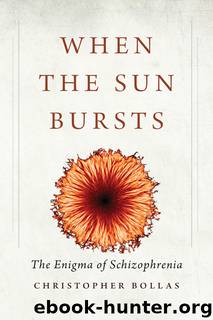 When the Sun Bursts by Christopher Bollas