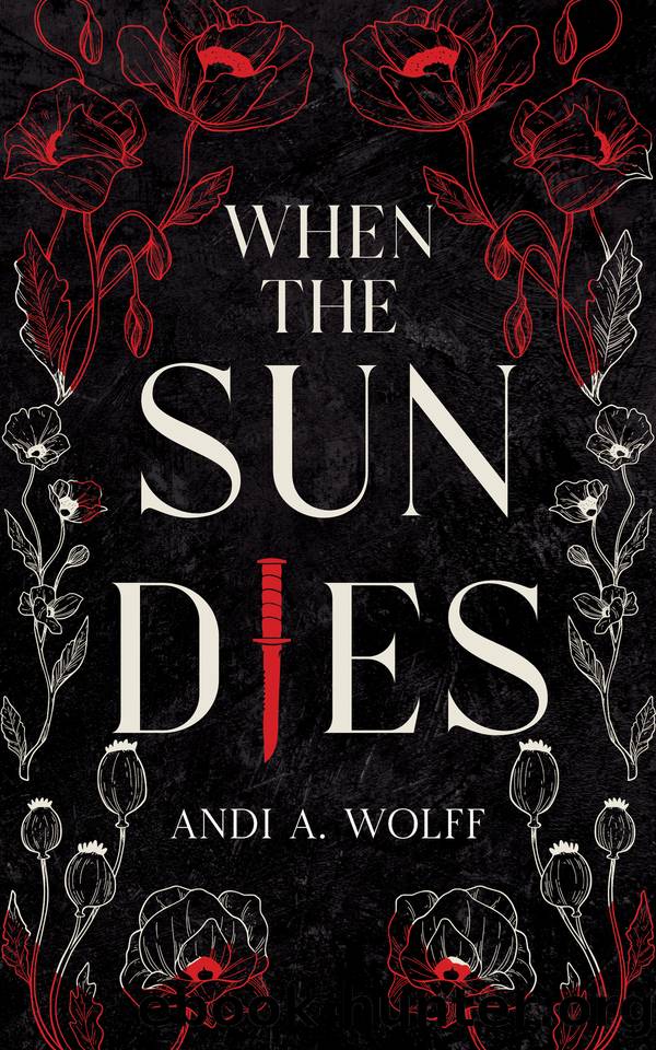 When the Sun Dies by Andi A. Wolff