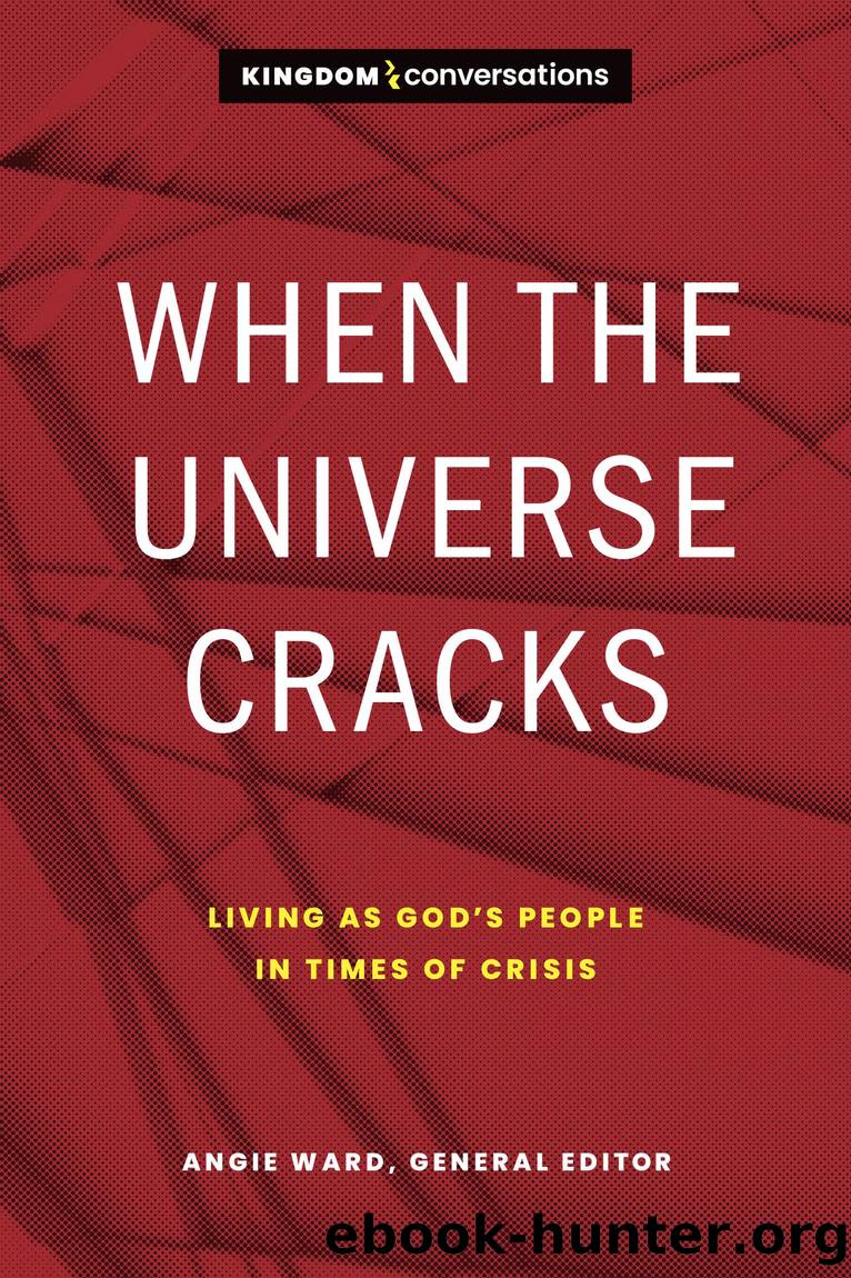 When the Universe Cracks by Angie Ward