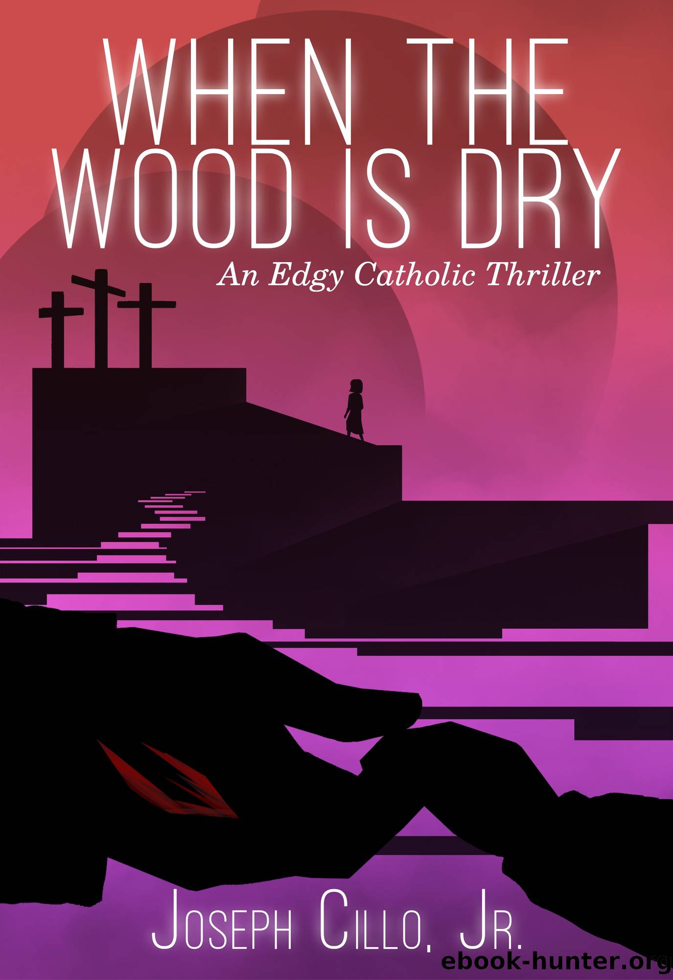 When the Wood Is Dry by Joseph Cillo Jr