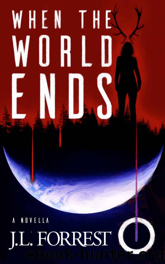 When the World Ends by J L Forrest
