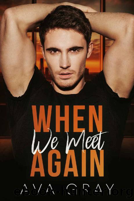 When we meet Again (Alpha Billionaire) by Ava Gray