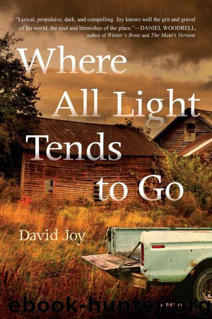 Where All Light Tends to Go by Joy David