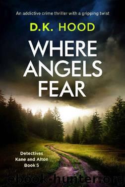 Where Angels Fear by D K Hood