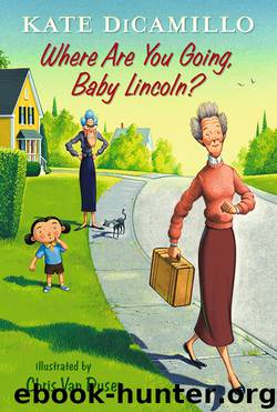 Where Are You Going, Baby Lincoln? by Kate DiCamillo