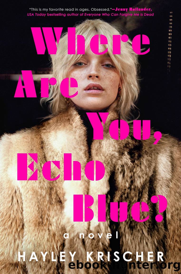 Where Are You, Echo Blue? by Hayley Krischer