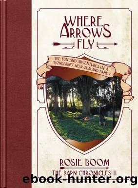 Where Arrows Fly by Rosie Boom