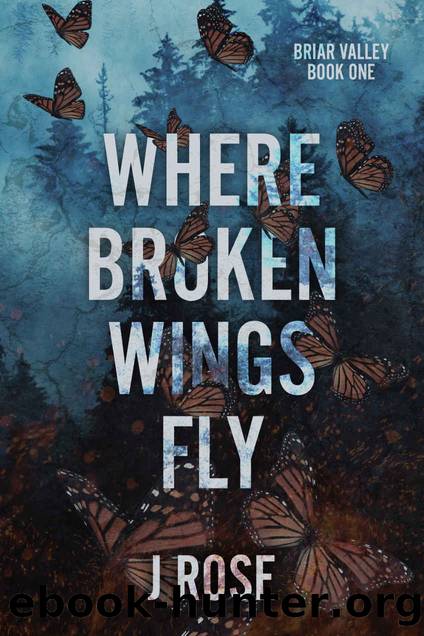 Where Broken Wings Fly: A Small Town Reverse Harem Romance (Briar Valley Book 1) by J Rose