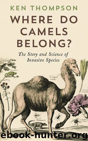 Where Do Camels Belong? by Ken Thompson