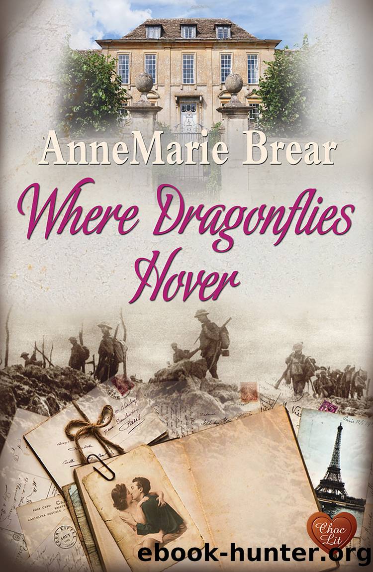 Where Dragonflies Hover by AnneMarie Brear