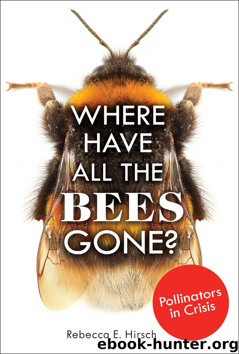 Where Have All the Bees Gone? by Rebecca E. Hirsch
