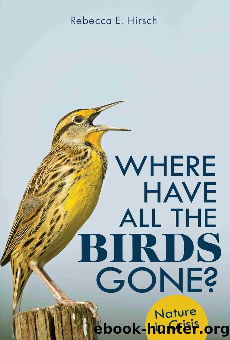 Where Have All the Birds Gone? by Rebecca E. Hirsch
