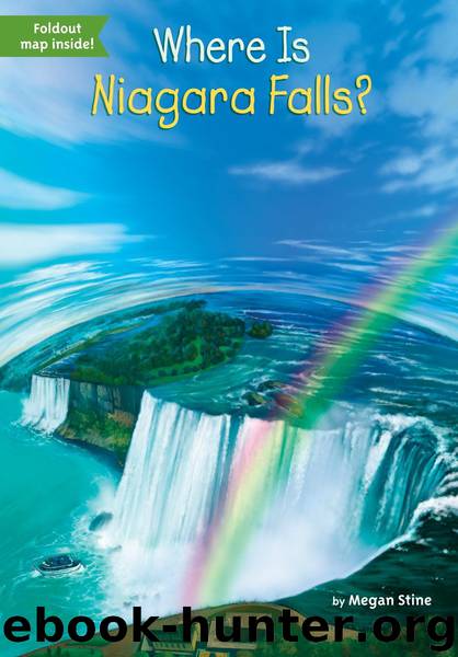 Where Is Niagara Falls? by Megan Stine; illustrated by Tim Foley