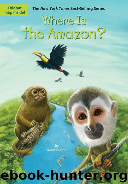 Where Is the Amazon? by Sarah Fabiny