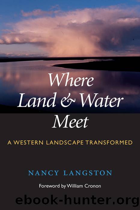 Where Land and Water Meet by Nancy Langston