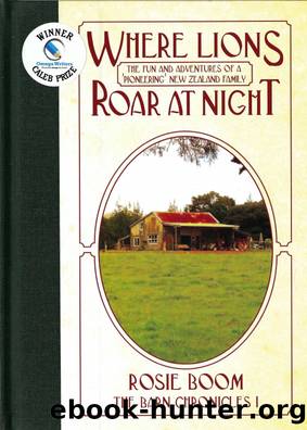 Where Lions Roar at Night by Rosie Boom