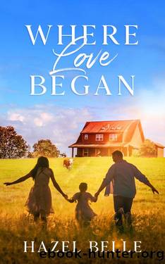 Where Love Began: A Small Town Clean Romance (Healing Hearts in Mustang Gulch Book 1) by Hazel Belle